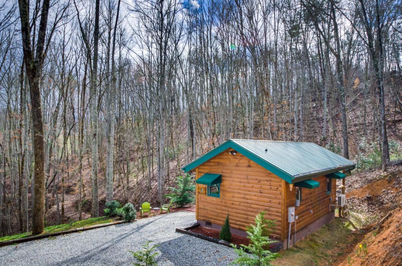 Superb Bryson City Studio Cabin With Hot Tub And Patio! Экстерьер фото